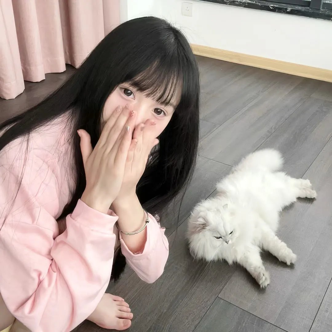 卫星女孩和奶牛
